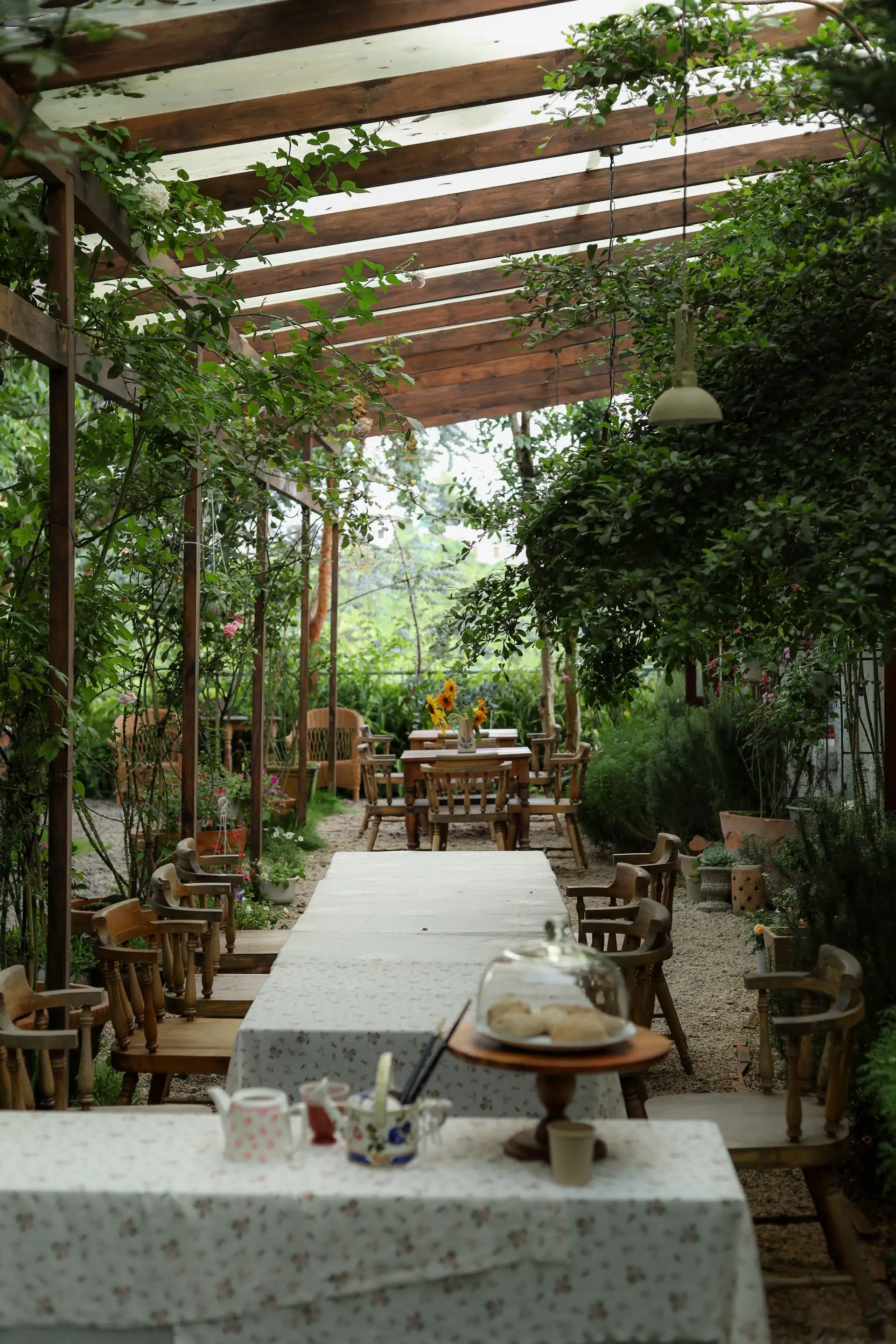 Sarmaşıklı pergola altında ahşap masalar, açık bahçe